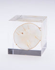 Lunaria Annua Cube