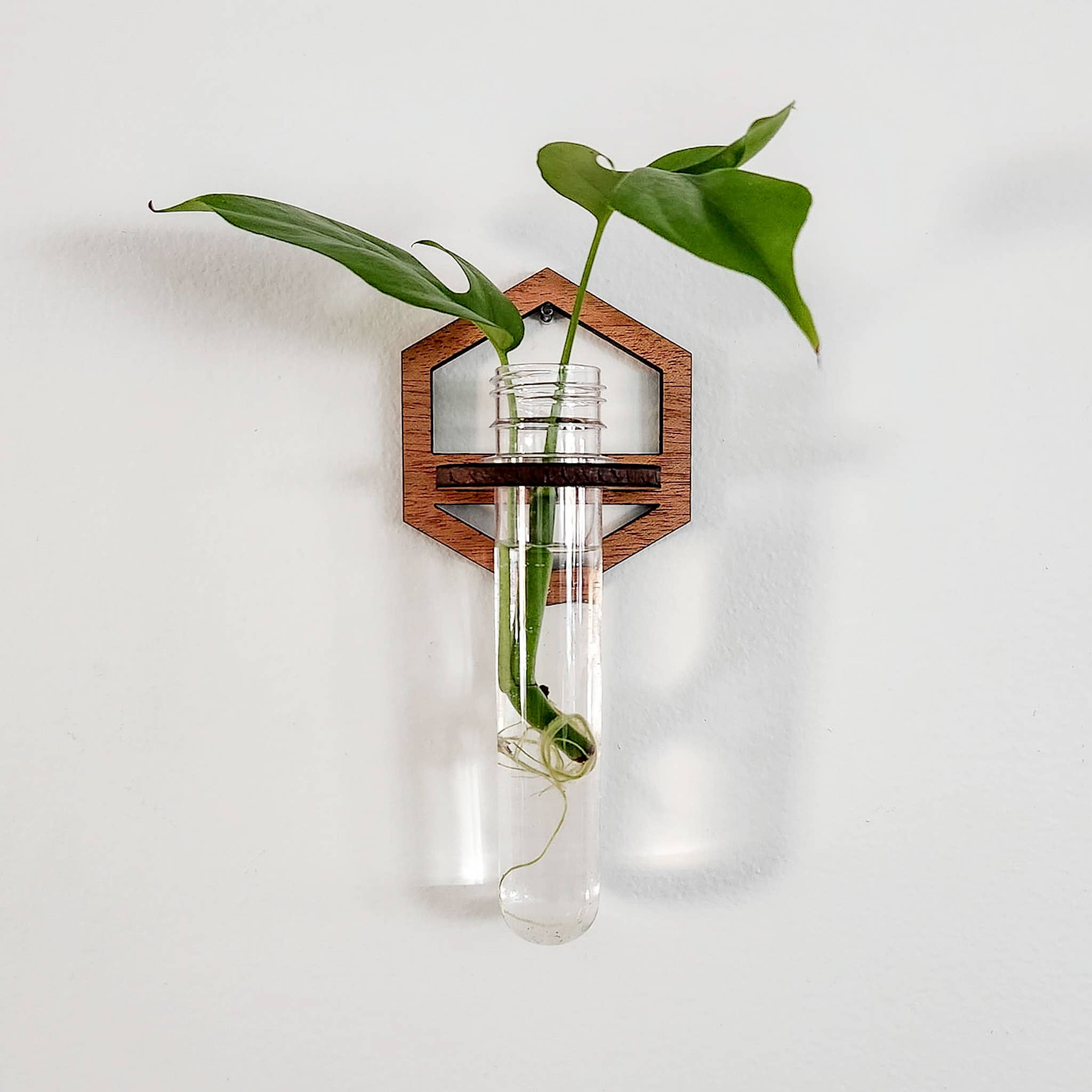Wall Hanging Propagation Station - Wooden Hexagon w/ Tube
