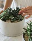 Kinto Plant Pot - Earth Gray